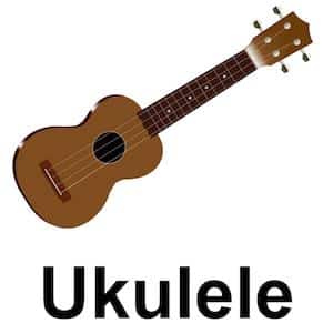 Ukulele Instrument Chords